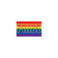 Rainbow Pride 3×5 Flag
