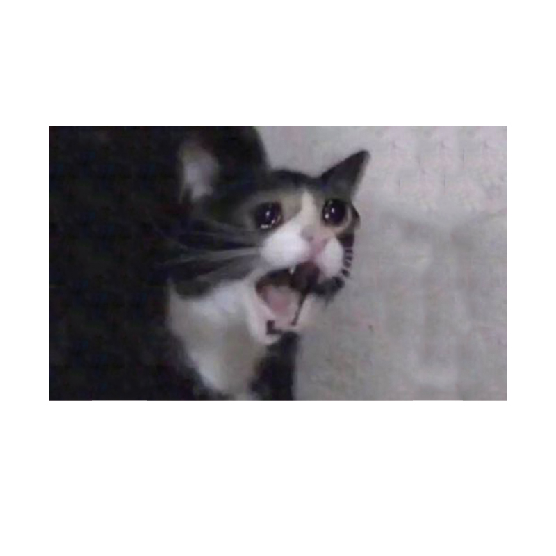 Crying Cat Meme 3x5 Flag