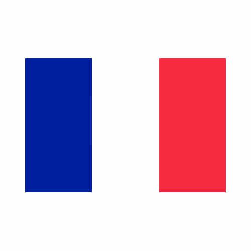 France 3x5 Flag